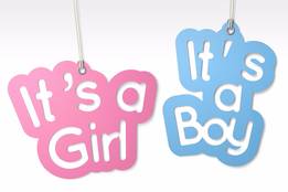 Cisgender Definition & Meaning - Merriam-Webster